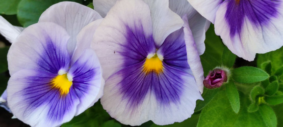 Similar image 21130028