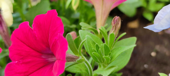 Similar image 21130030