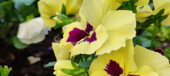 Similar image 21130031