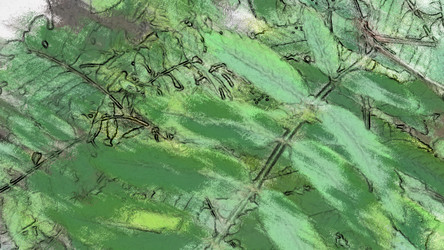 Similar image 21130034