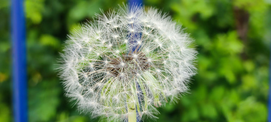 Similar image 21130035