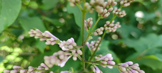 Similar image 21130036