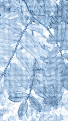 Similar image 21130040