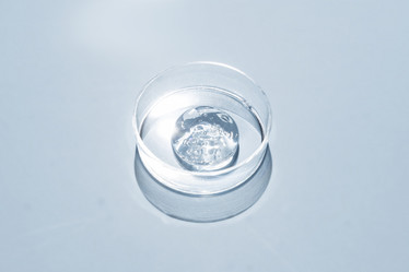 Similar image 21131586