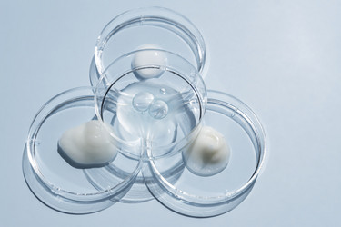 Similar image 21131601