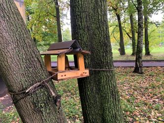 Similar image 21120045