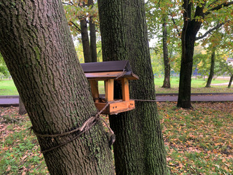 Similar image 21120047