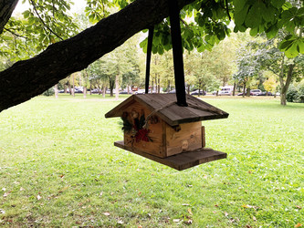 Similar image 21120048