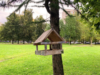 Similar image 21120052