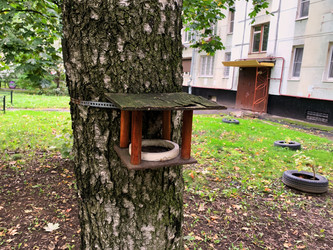 Similar image 21120055