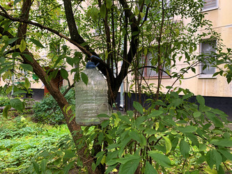 Similar image 21120056