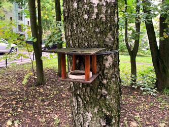 Similar image 21120057