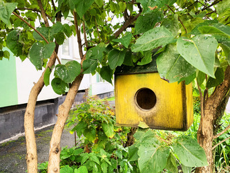 Similar image 21120059