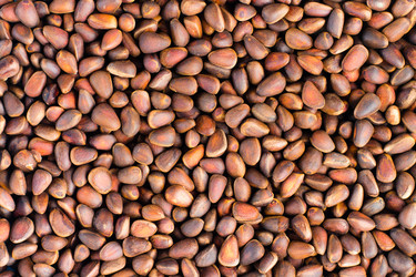 Similar image 21123031