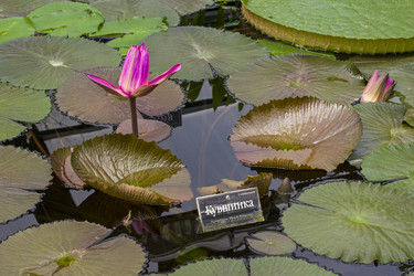 Similar image 21120158