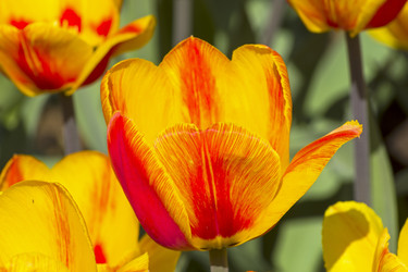 Similar image 21120159