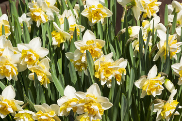 Similar image 21120160