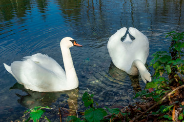 Similar image 21121922