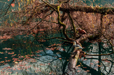 Similar image 21121930