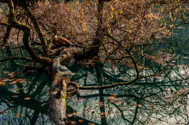 Similar image 21121931