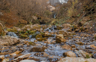 Similar image 21121936