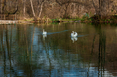 Similar image 21121937