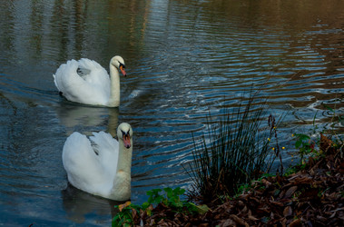 Similar image 21121940