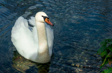 Similar image 21121942