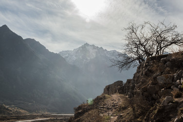 Similar image 21121943