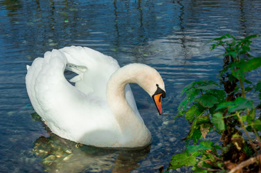 Similar image 21121944