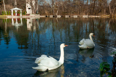 Similar image 21121945