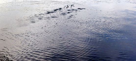 Similar image 21129546