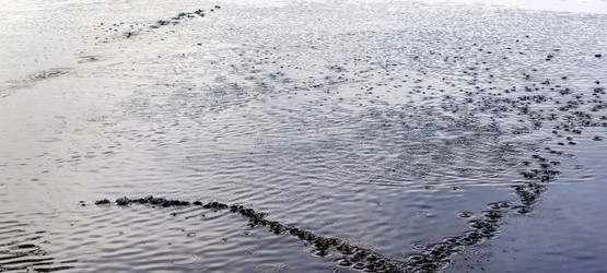 Similar image 21129547