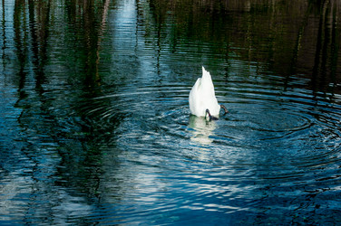 Similar image 21121953