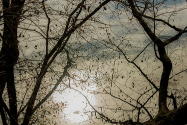 Similar image 21121955