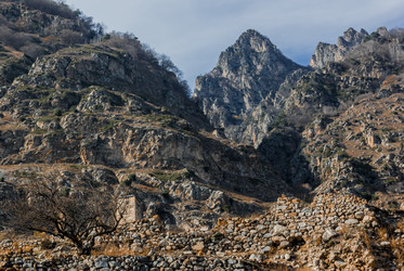 Similar image 21121966