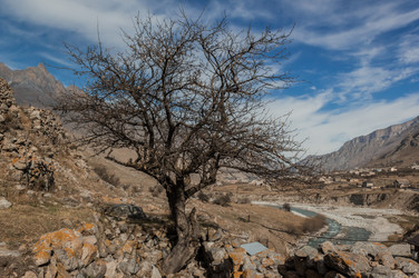 Similar image 21121967