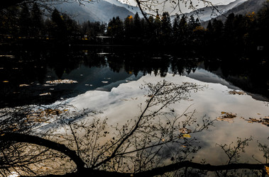 Similar image 21121985