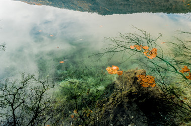 Similar image 21121992