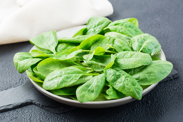 Similar image 21123900