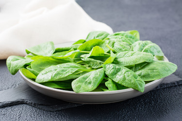 Similar image 21123901