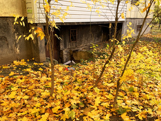 Similar image 21124109