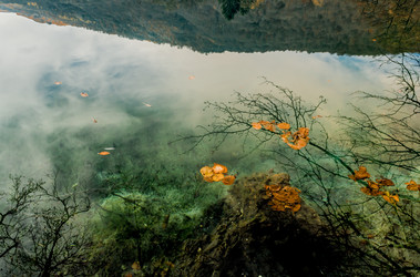 Similar image 21121996