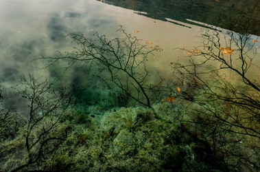 Similar image 21122005