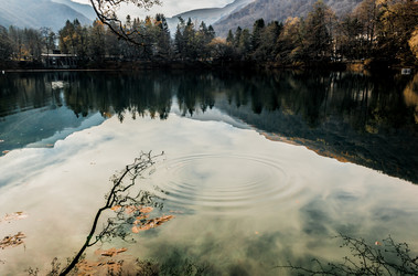 Similar image 21122009