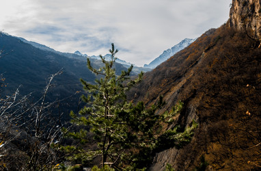 Similar image 21122012