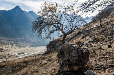 Similar image 21122019