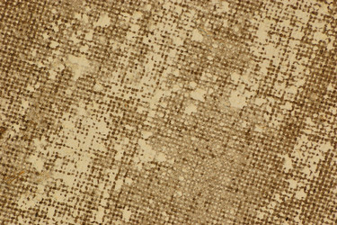 Similar image 21121586