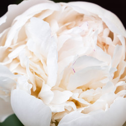 Similar image 21121694