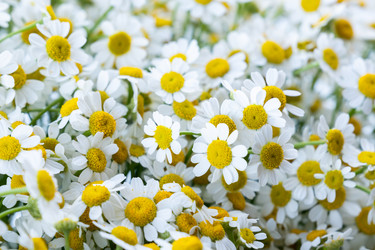 Similar image 21121695